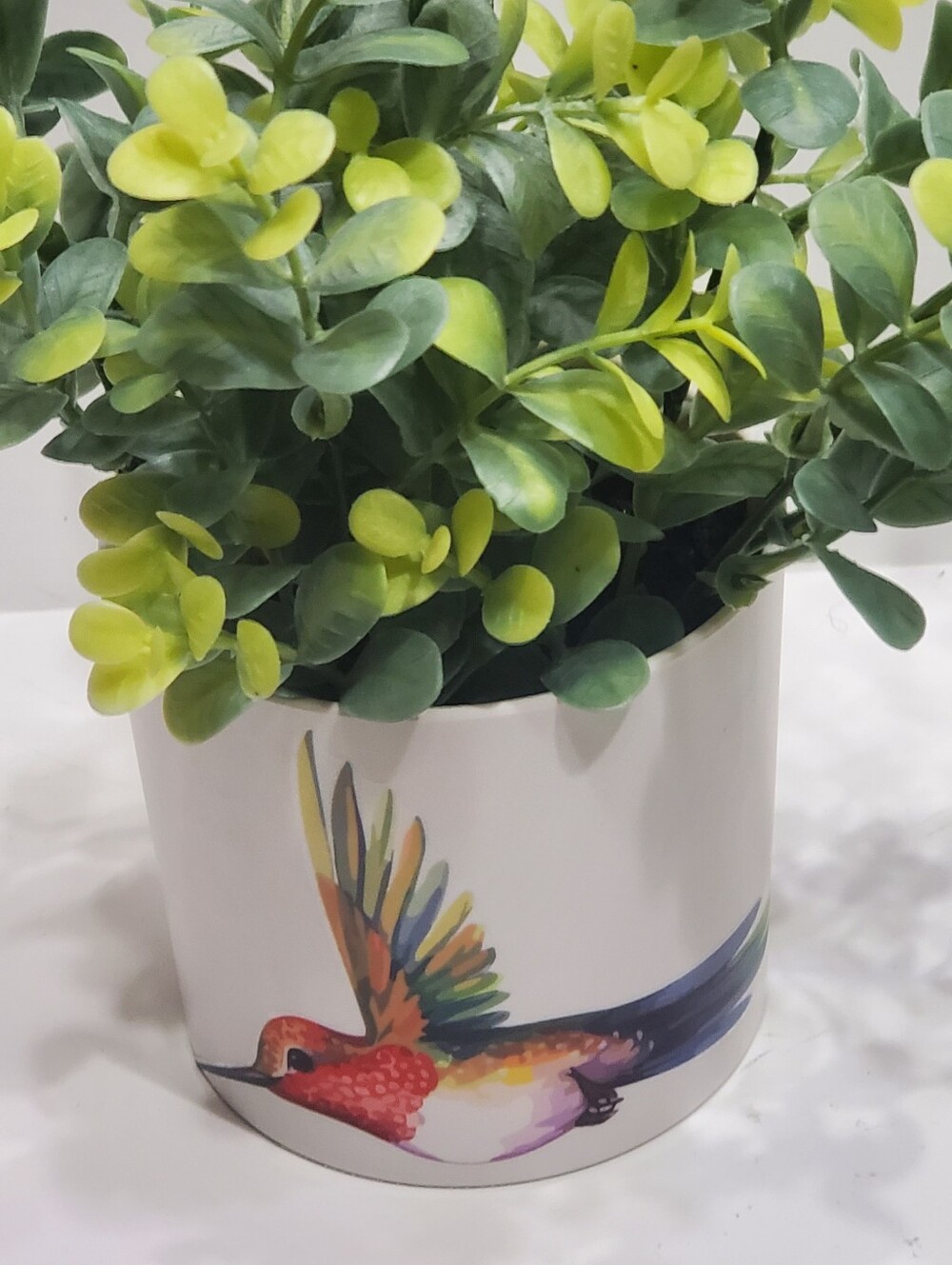 Light Up Plant - Picture 5 of 16